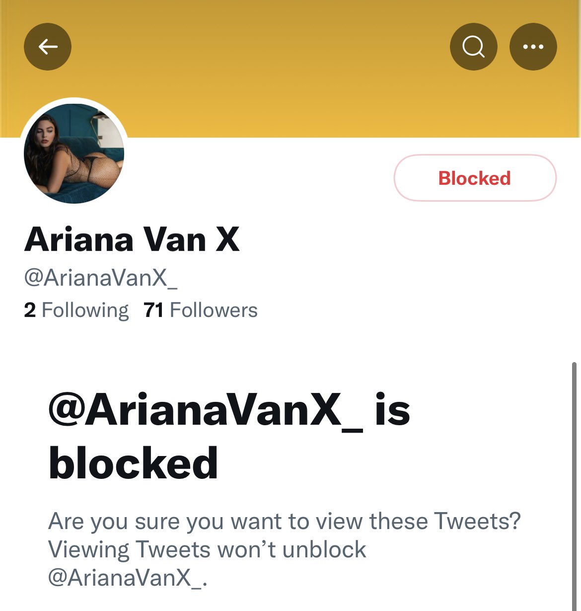 Ariana Van X on Twitter: "@arianavanx_ and @arianavanx2 ARE FAKE