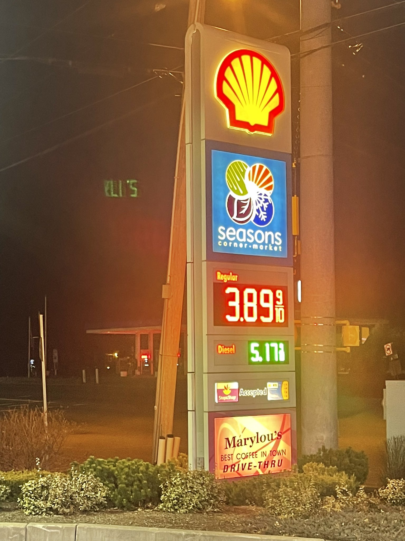 Breana Pitts on Twitter "Pembroke Shell by Christmas Tree Shop is