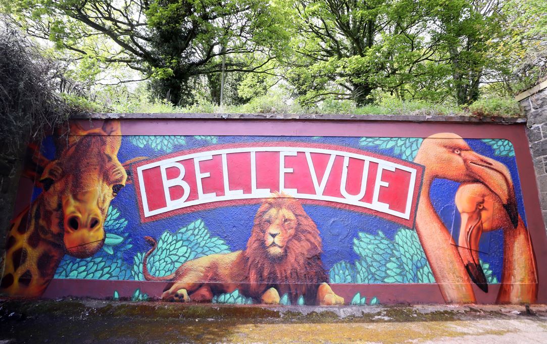 Belfast City Council on Twitter "Check out the new look Bellevue sign