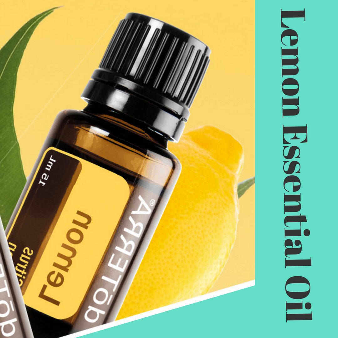 21+ Huntington Home Essential Oil ShyrellHewie