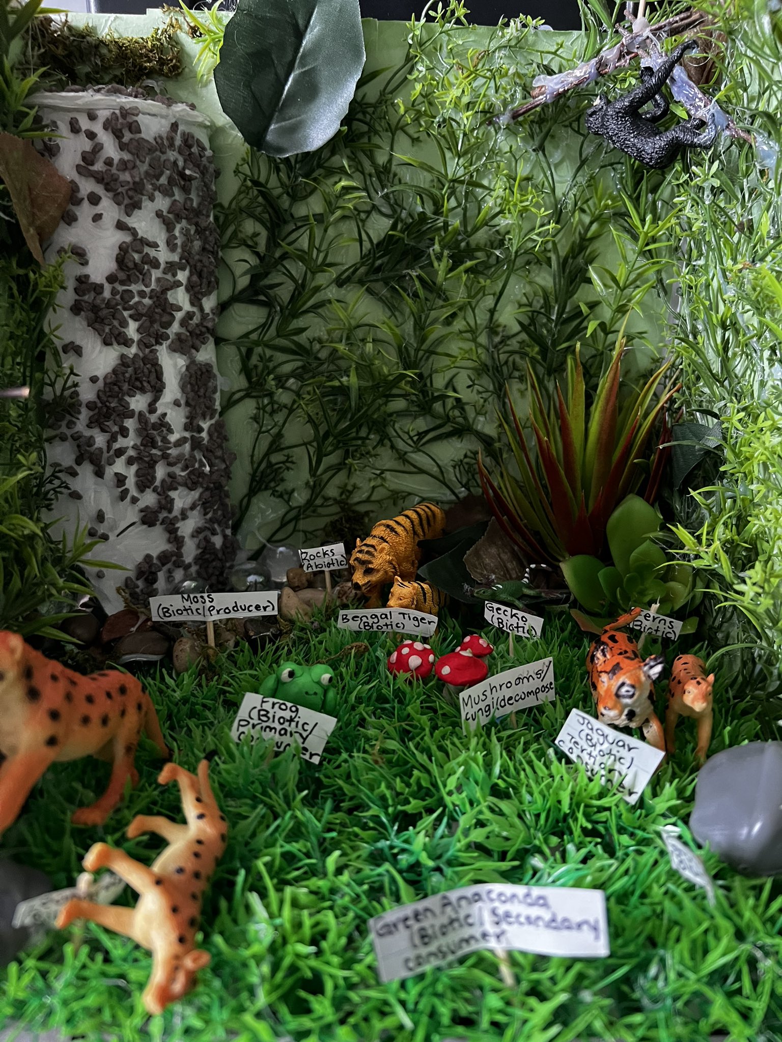 Bengal Tiger Habitat Diorama