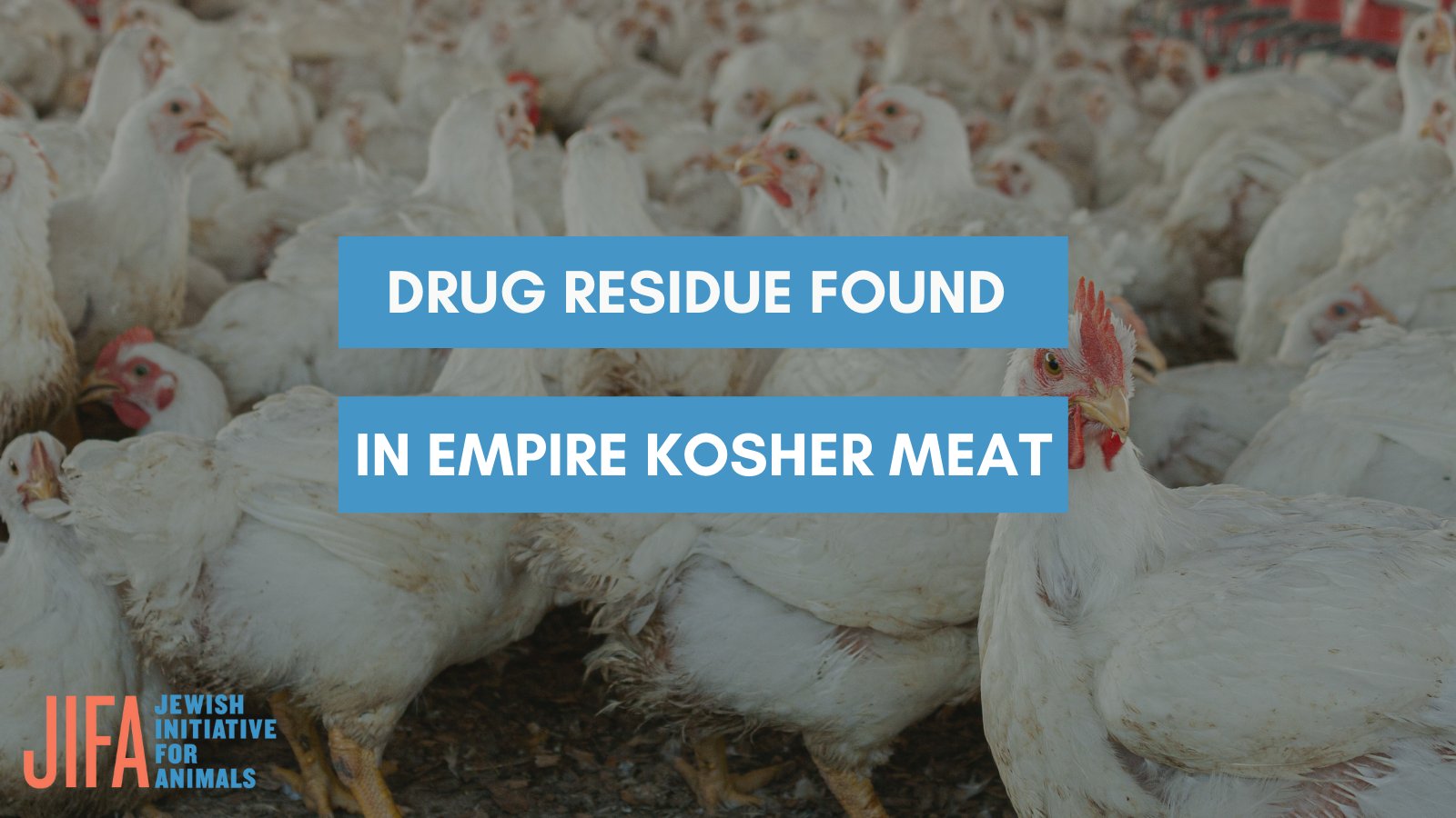 JIFA on Twitter "Farm Forward found that the largest producer of