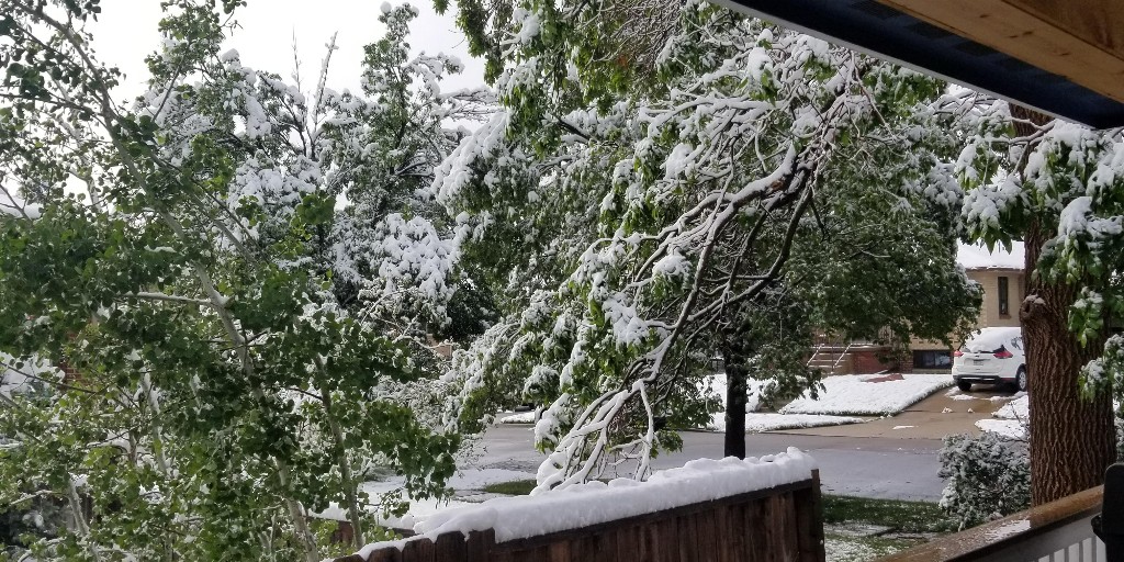 Denver Water on Twitter "The snow from last weekend’s storm has melted