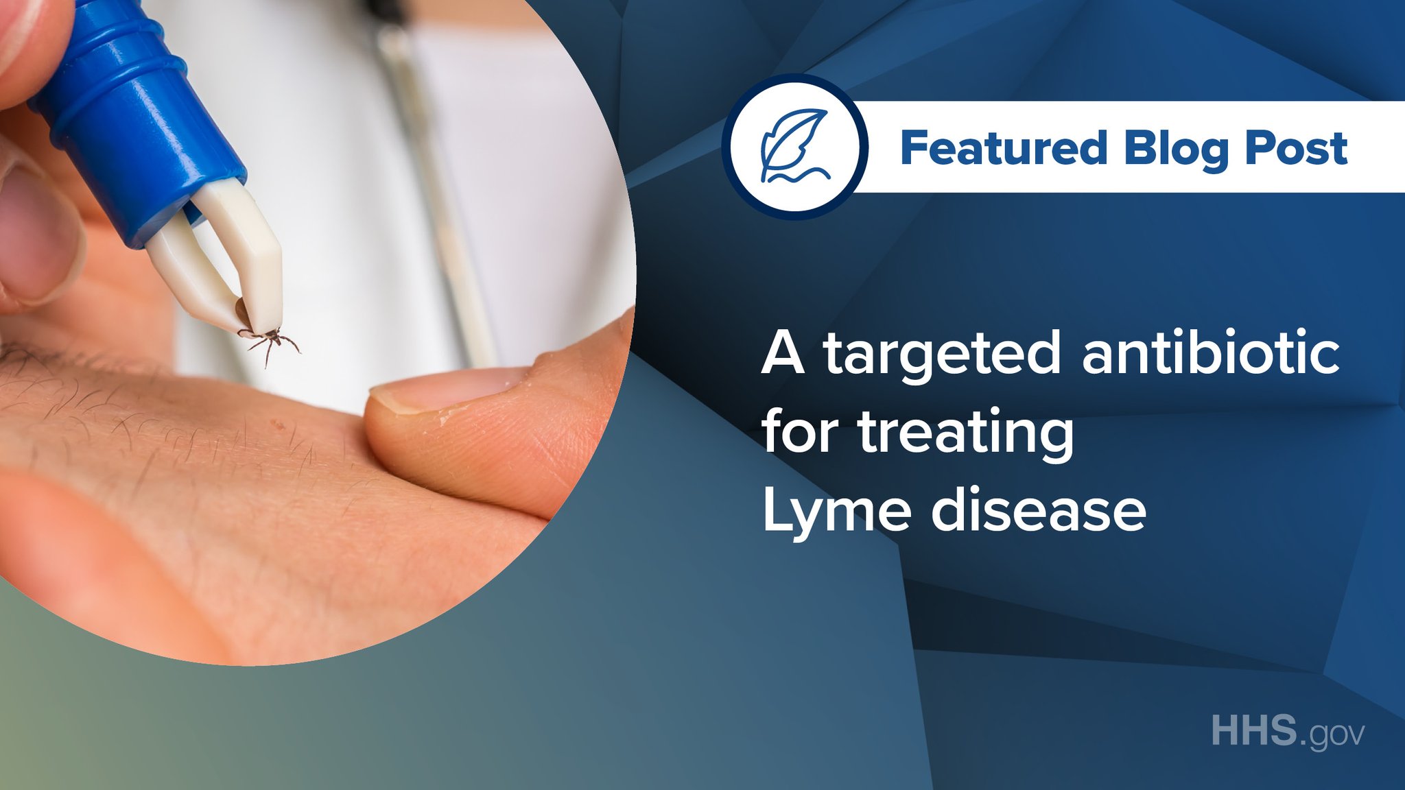 HHS.gov on Twitter "Treatment of Lyme disease entails the use of