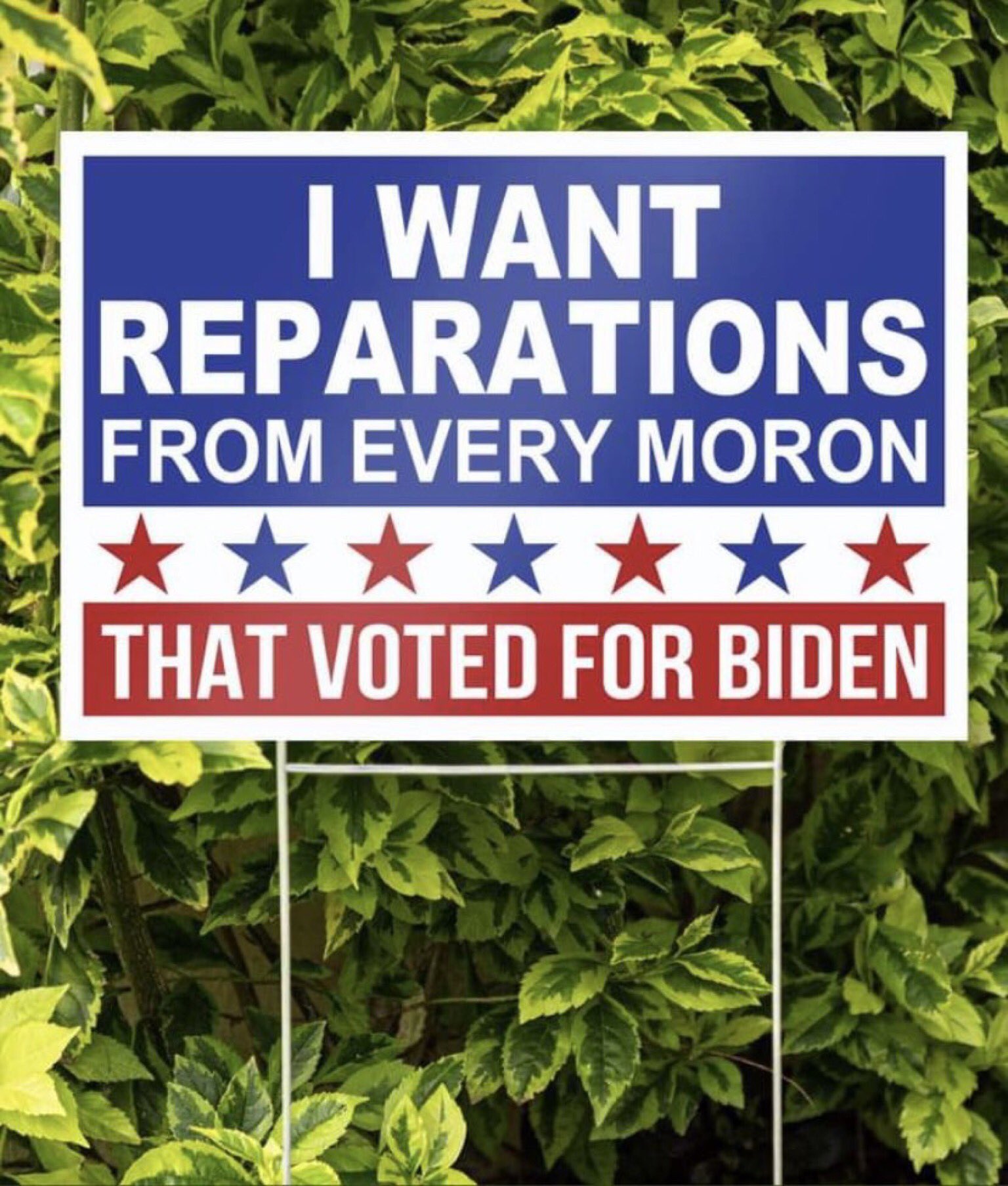 NoBull Cause *** Speak NoBull. Take NoBull.*** on Twitter "There