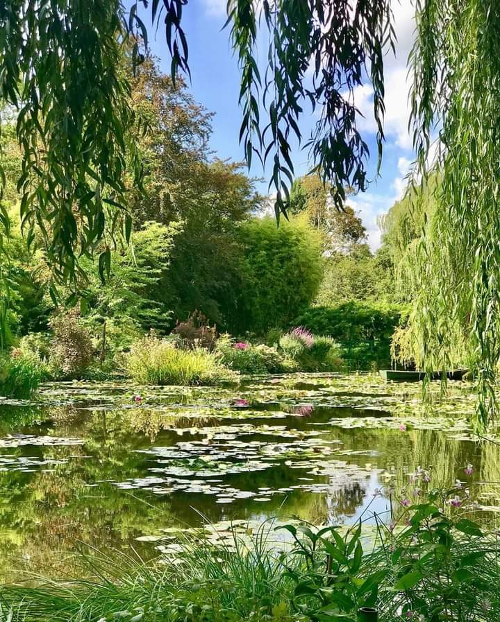 ︎ ︎ ︎ on Twitter "Claude garden. https//t.co/N53D75RjjF