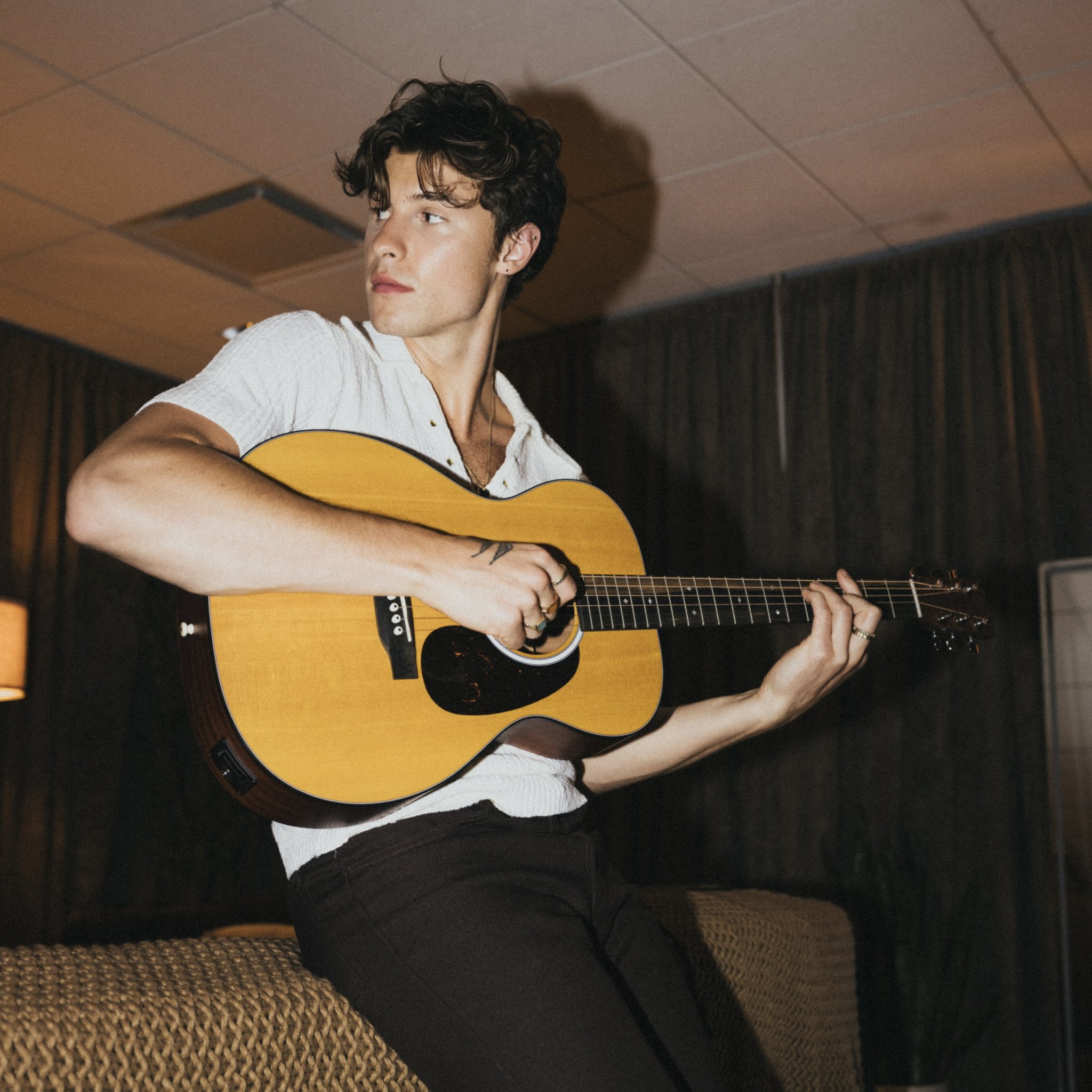 Shawn Mendes on Twitter "I’m excited to announce my signature MartinGuitar, made with FSC