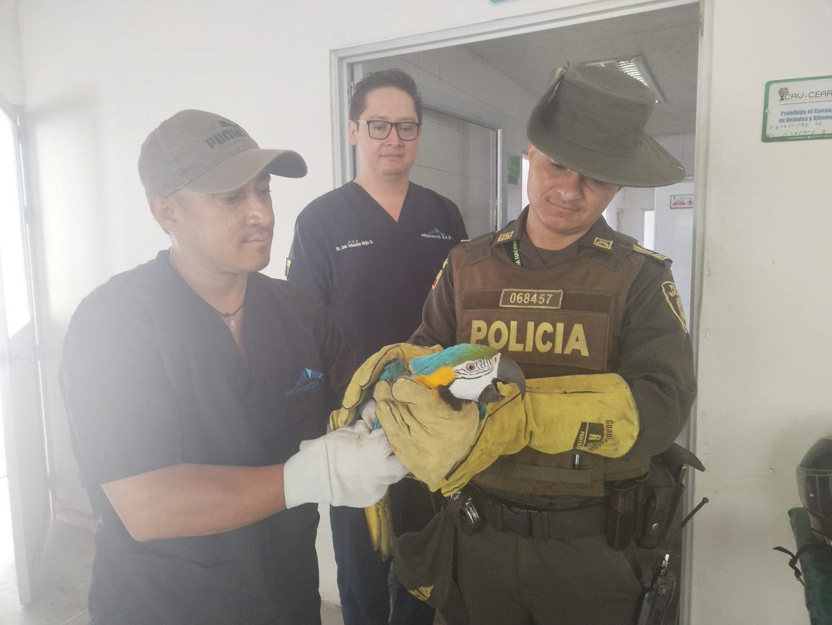 Coronel José James Roa Castañeda on Twitter "Nuestro compromiso