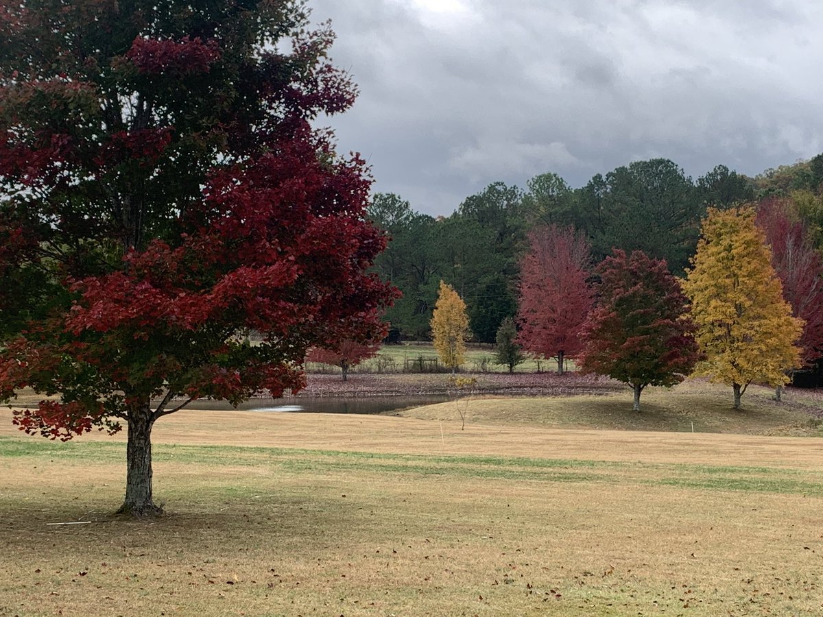 Chelsea Aaron WAFF 48 Meteorologist on Twitter "RT HeatherLindsey1