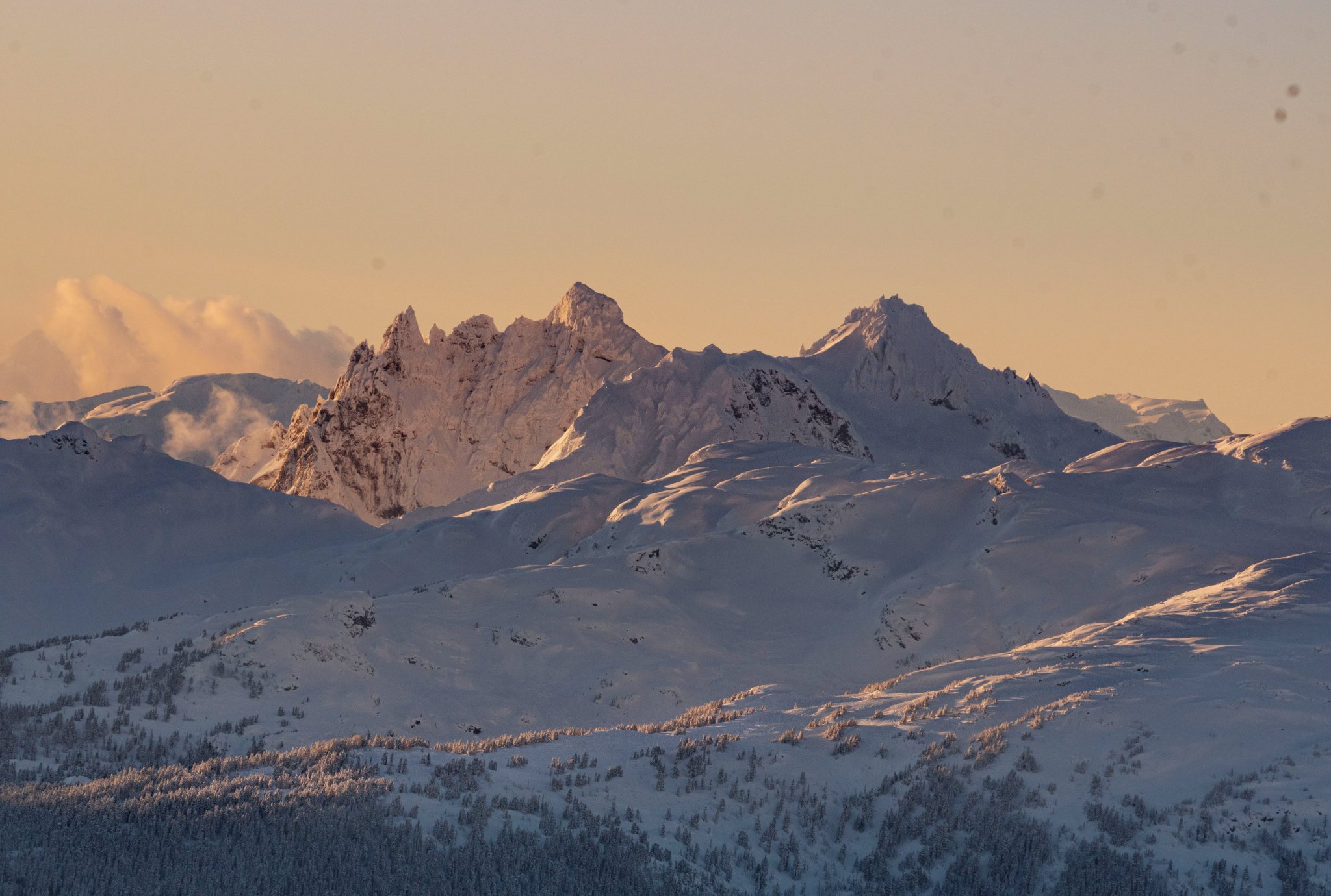 Whistler on Twitter "We want to provide an update on the