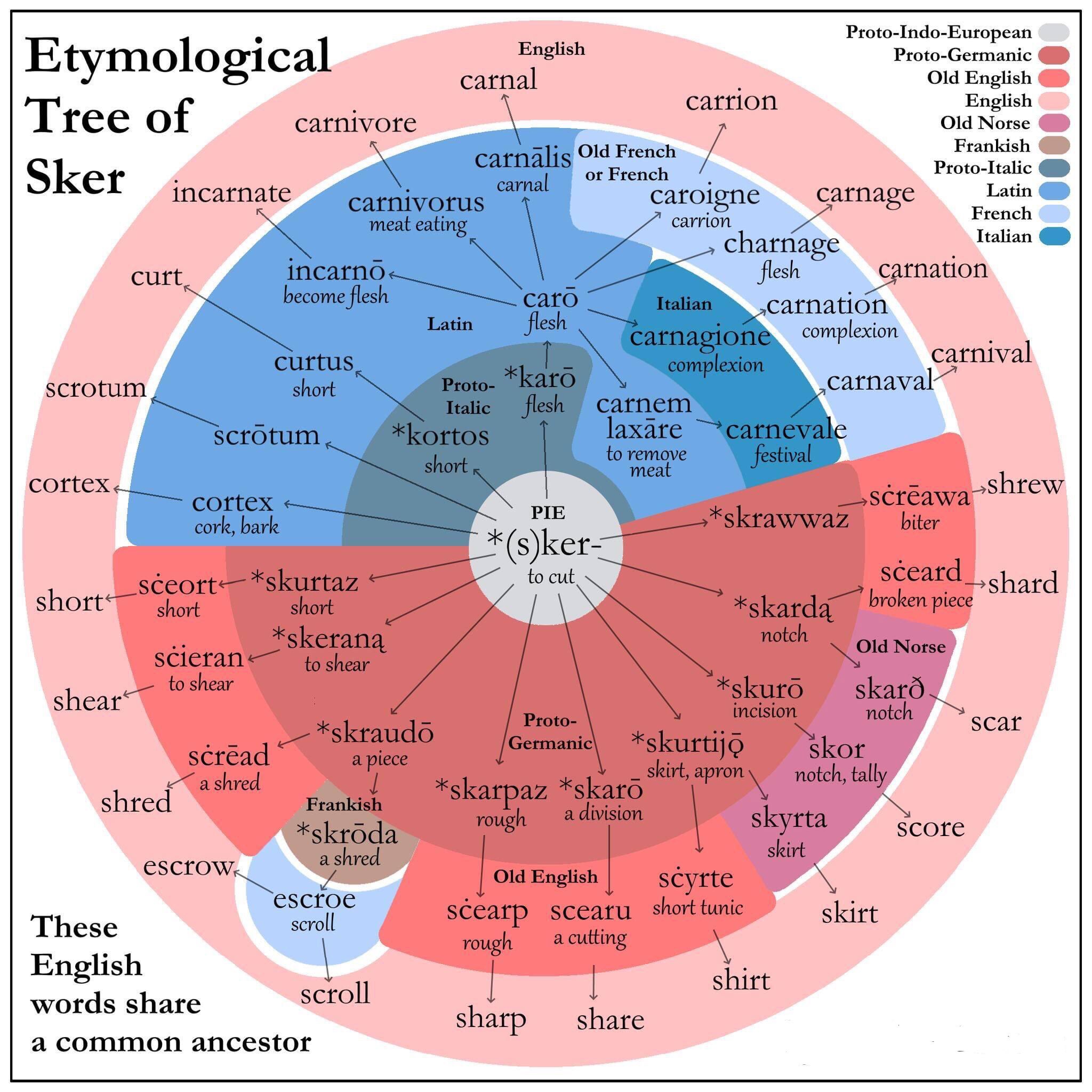 Nrken19 on Twitter "23 English words all from the ProtoIndoEuropean word "*(s)ker" ('to cut