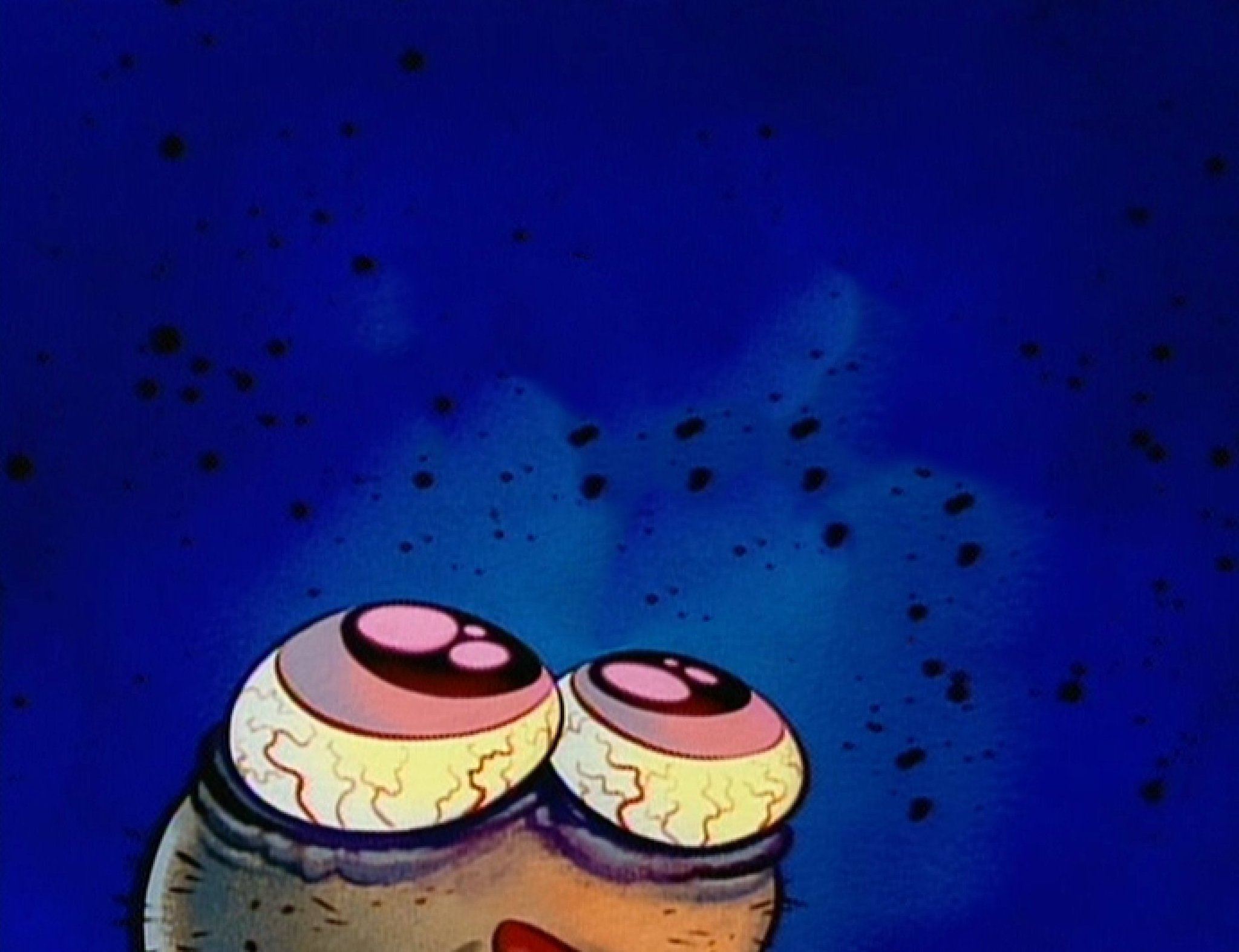 lizard on Twitter "elonmusk https//t.co/kUFAcVJydj" / Twitter