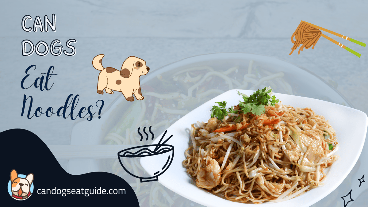 Can Dogs Eat? Guide on Twitter "Can Dogs Eat Noodles? Did you try giving your doggo noodles
