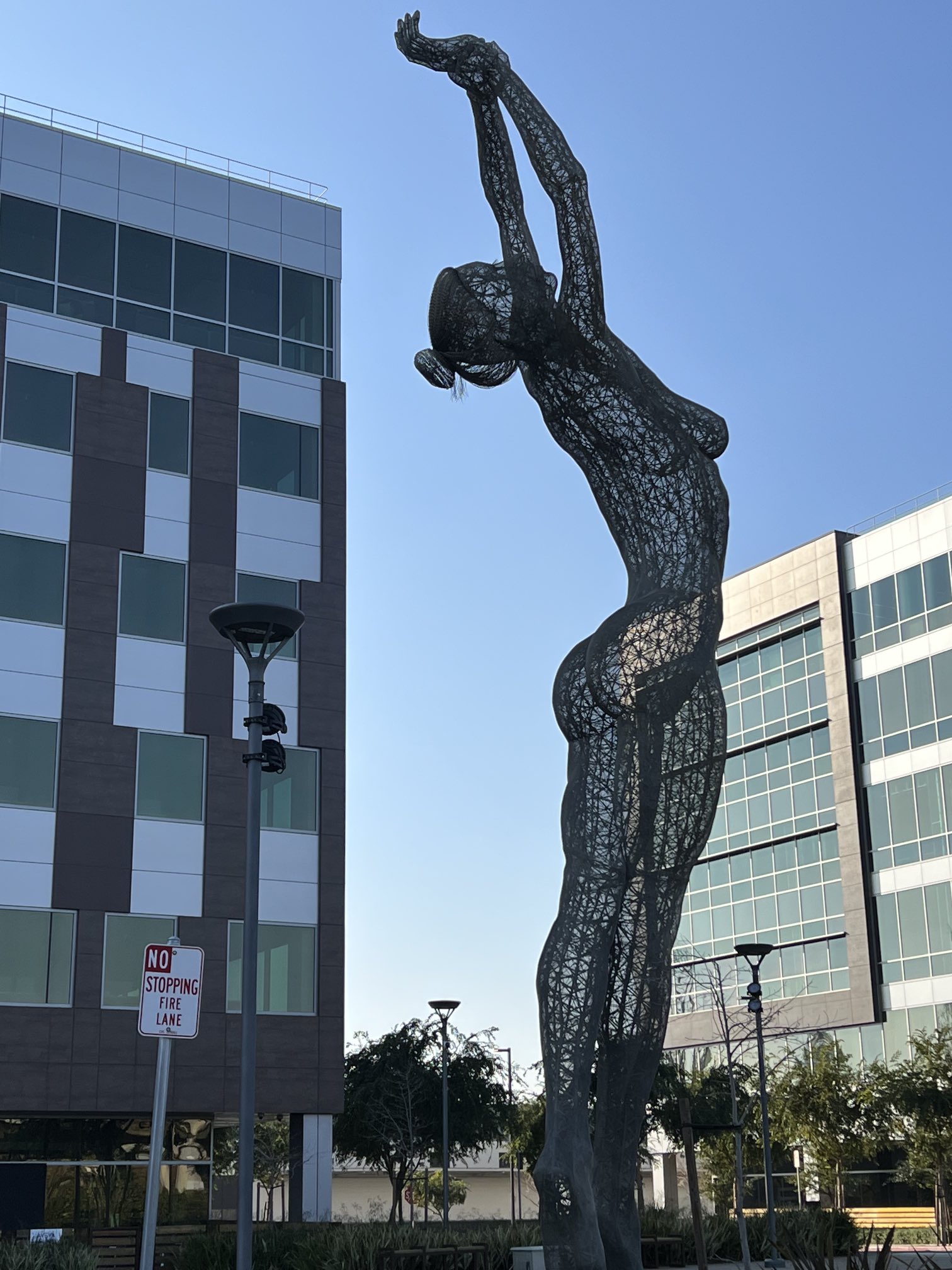 Carla ‘Bluechecked’ Marinucci on Twitter: "I always wanted to learn the