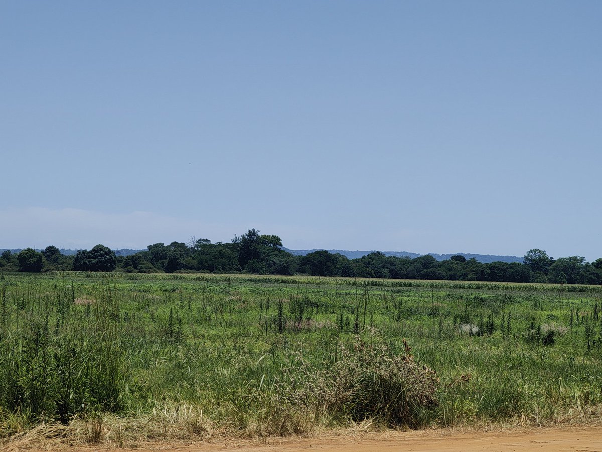HBRD on Twitter "RT HillaryMusarurw Driving between Harare & Norton