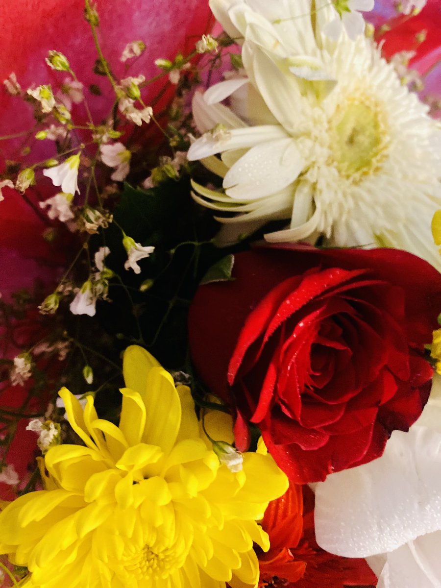 Aparna Swarup on Twitter "So my guy went to pick flowers today at the