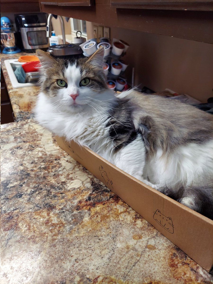 Brian on Twitter "New Gords just dropped"