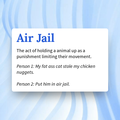 Urban Dictionary on Twitter "Air Jail https//buff.ly/3KLCO6u"