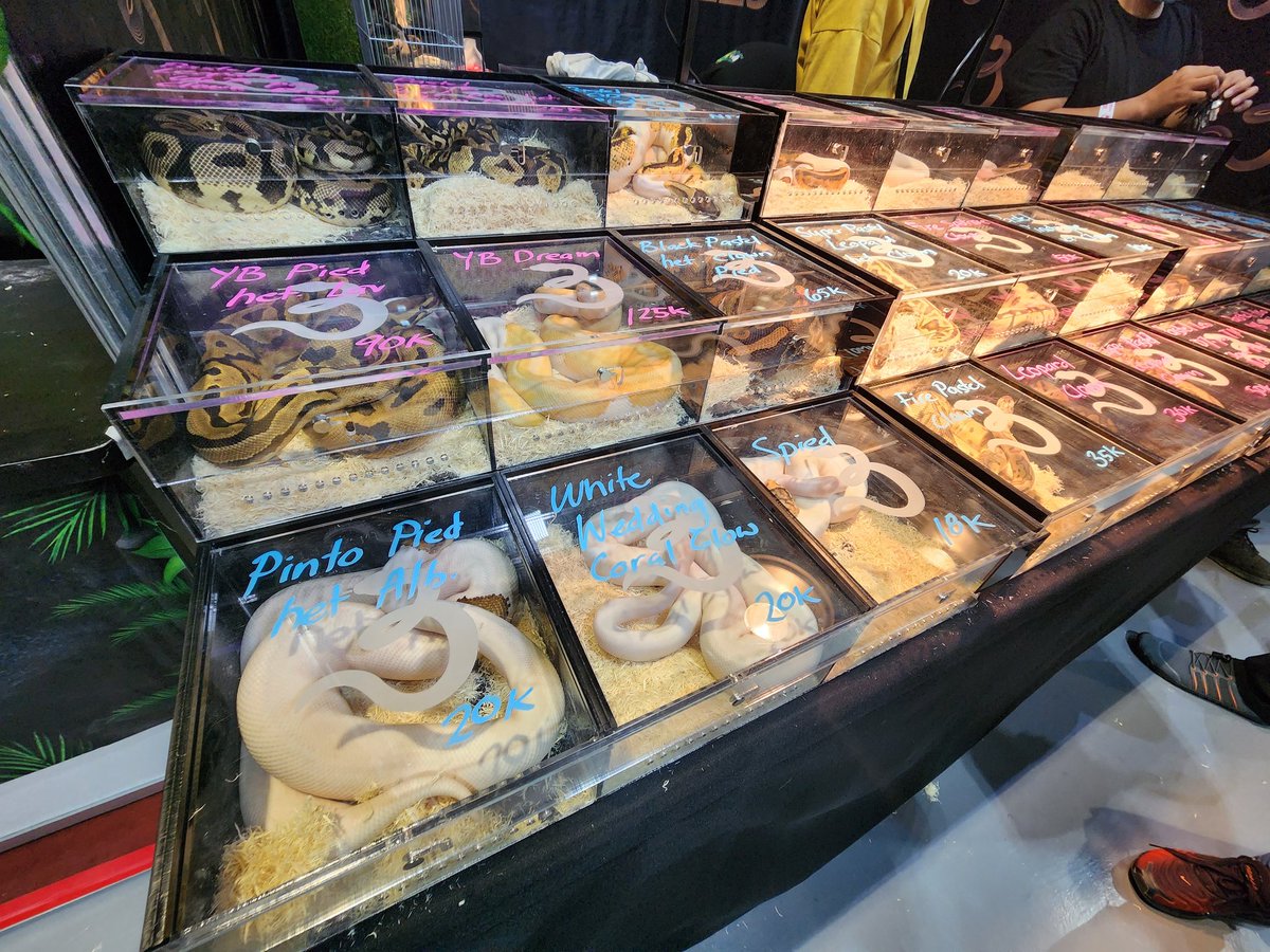 ABSCBN News Business on Twitter "LOOK The Philippine Pet Expo 2023 opens in Pasay. The