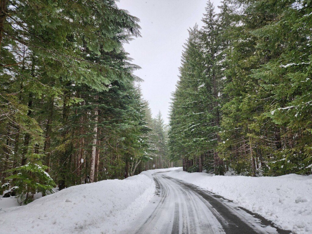 Gifford Pinchot National Forest on Twitter "RT MtStHelensNVM Current conditions at Marble