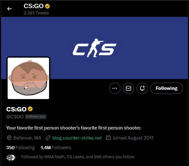 Jacob “Pimp” Winneche on Twitter "NEW CSGO BANNER! WHAT DOES IT MEAN