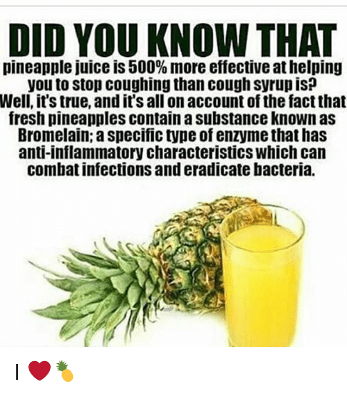 Organic Live Food on Twitter "The thick skin of a pineapple has many