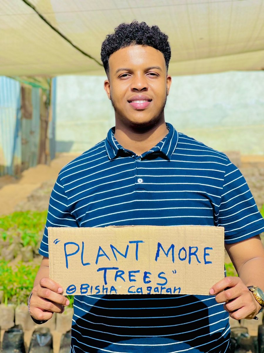 World Green Development on Twitter "RT GeedigaN Tree planting can