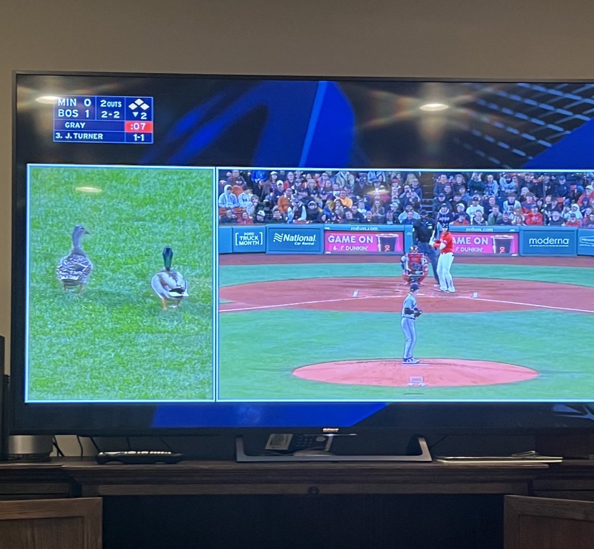 Joe Concha on Twitter "Currently a splitscreen between two ducks in