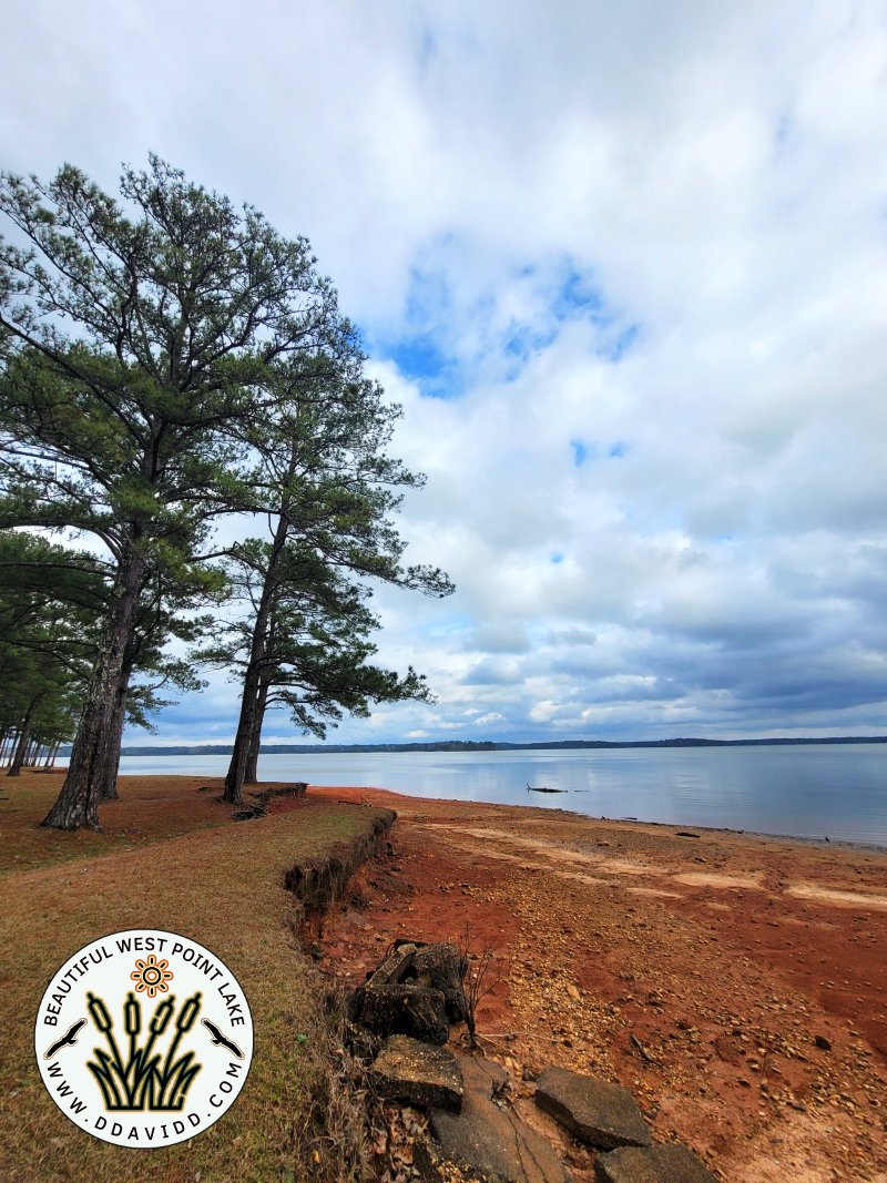 David Thrift on Twitter "West Point Lake (Alabama &