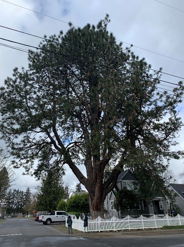 City of Beaverton on Twitter "As we close out April, the city is