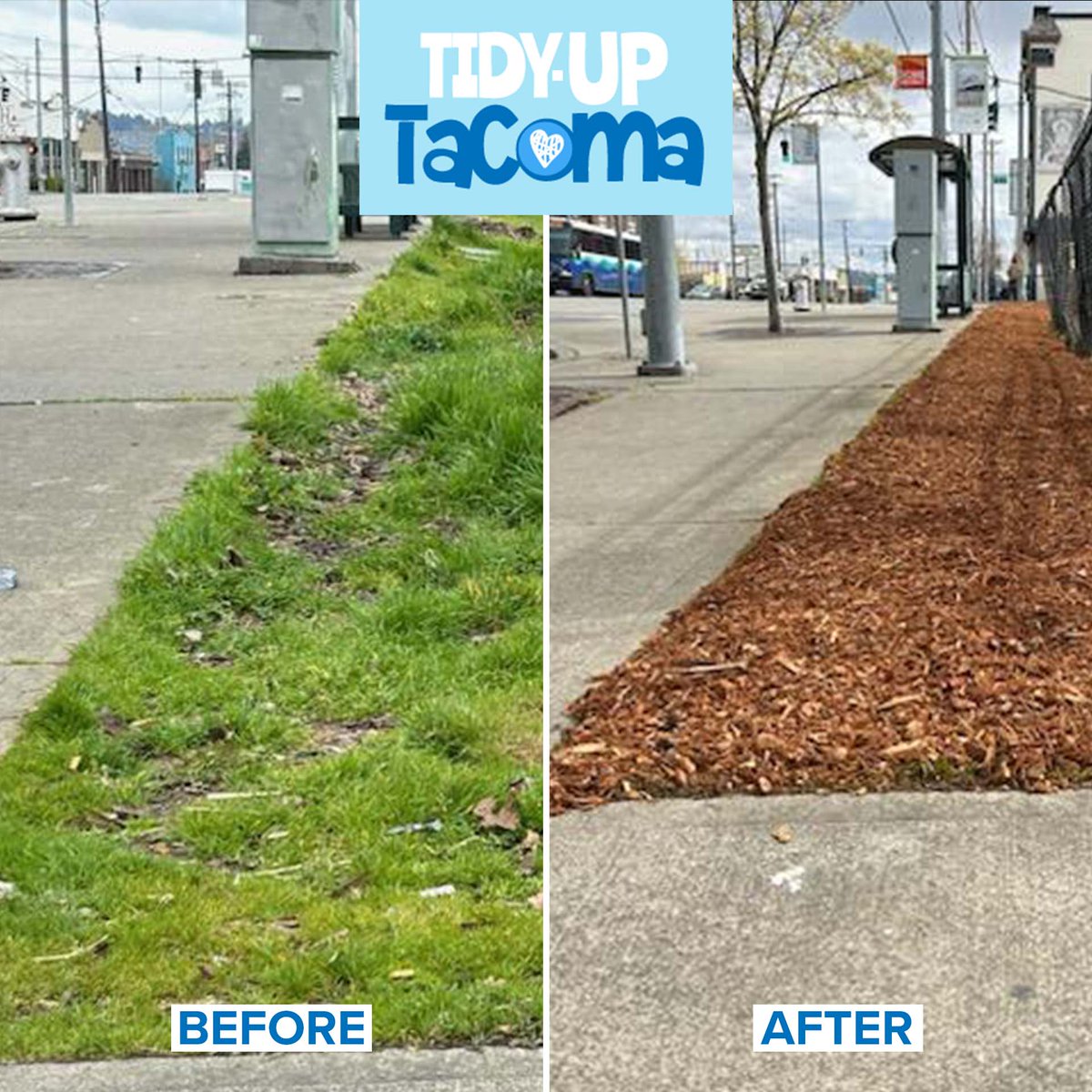 City of on Twitter "We collected 1,840 lbs of garbage and 1,610 lbs of green waste