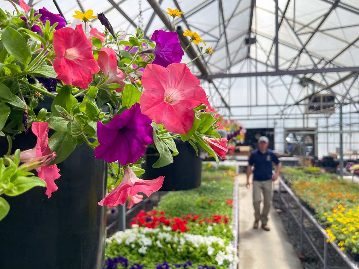 City of Reno on Twitter "Mother’s Day is all about flowers! Ryan the horticulturist, has been