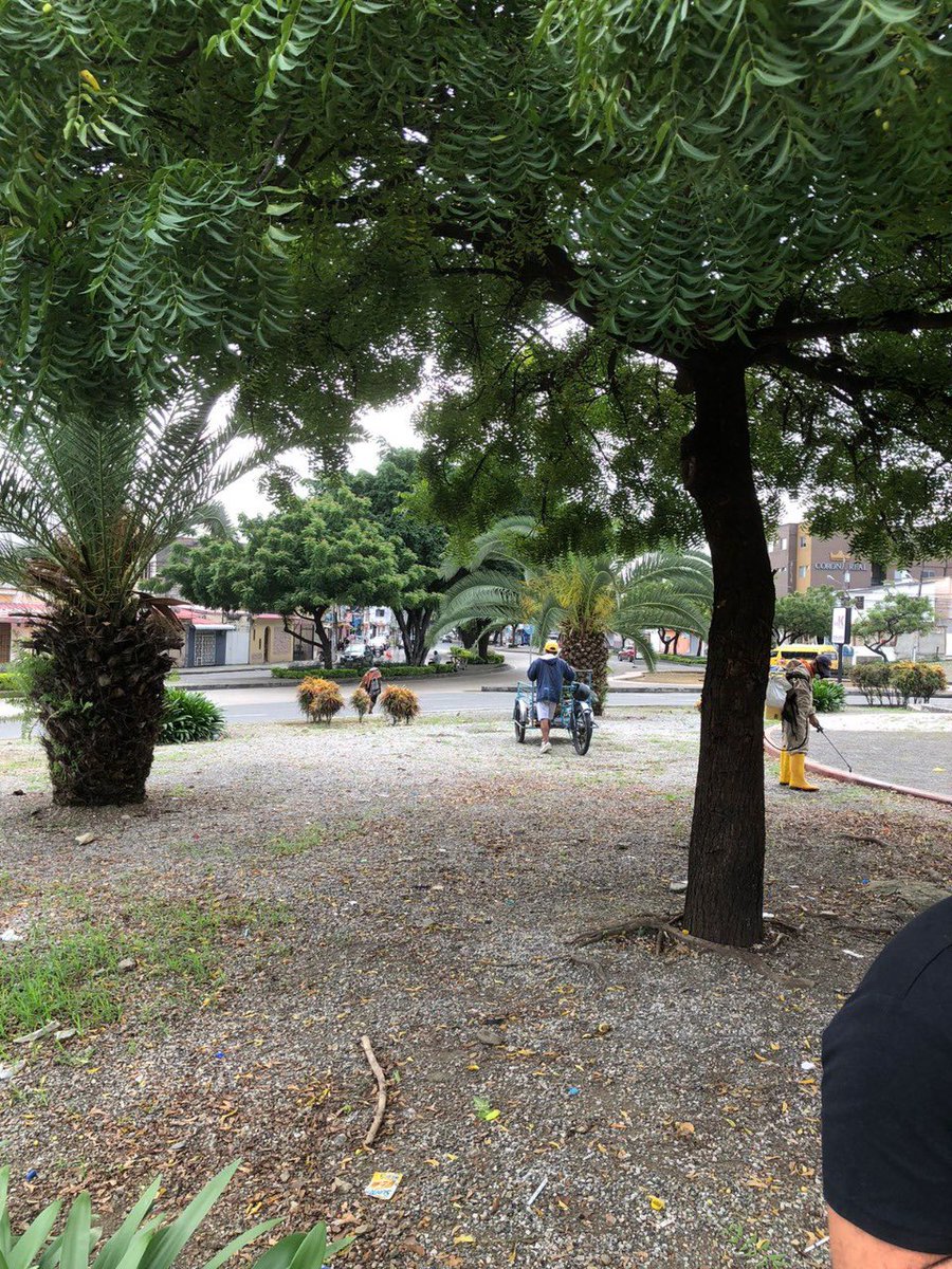 Muy Ilustre Municipio de Guayaquil on Twitter "La Dirección de