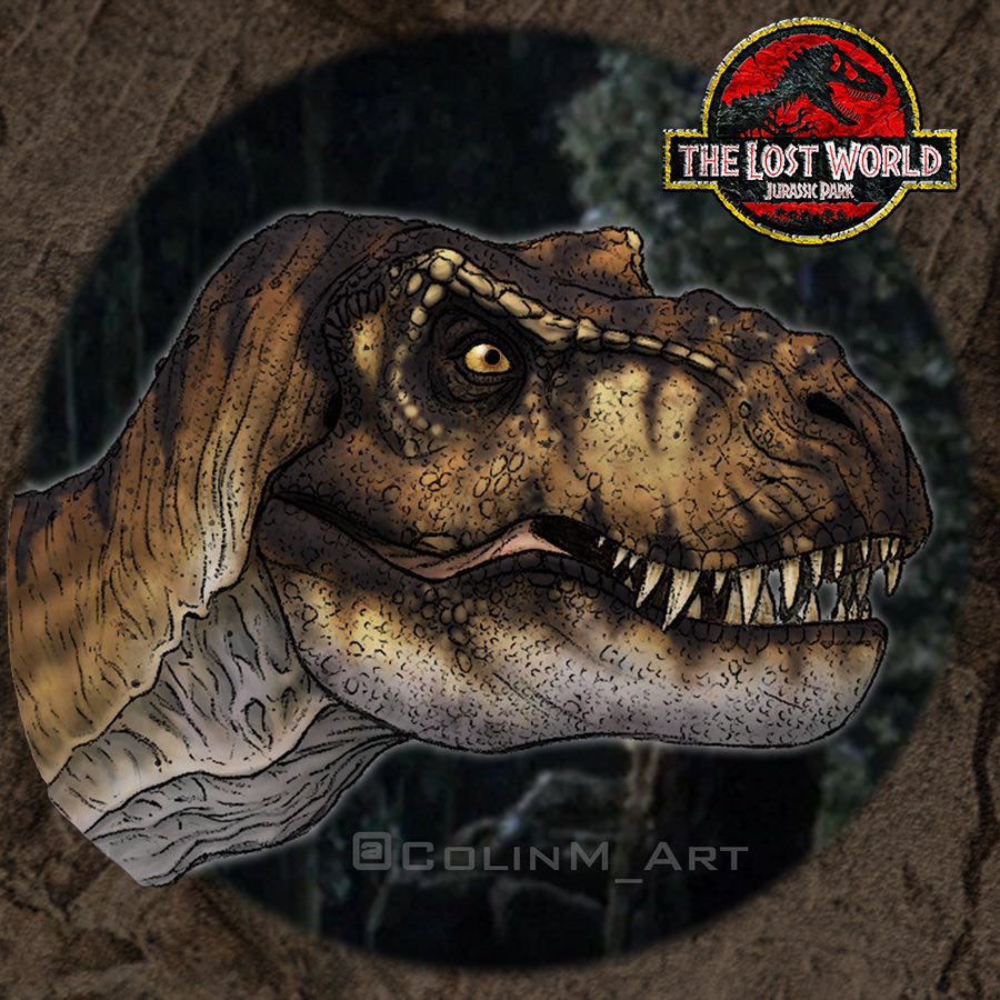 Lewis Lee (Jurassic Korea) on Twitter "RT ColinM_Art Female T. rex (1/3) JurassicPark30 🧵13/13"