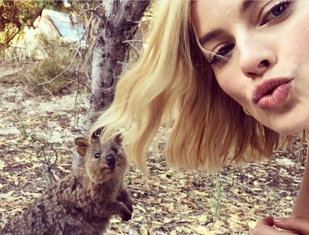 on Twitter "“lisa joins a long list of celebrities to take a quokka