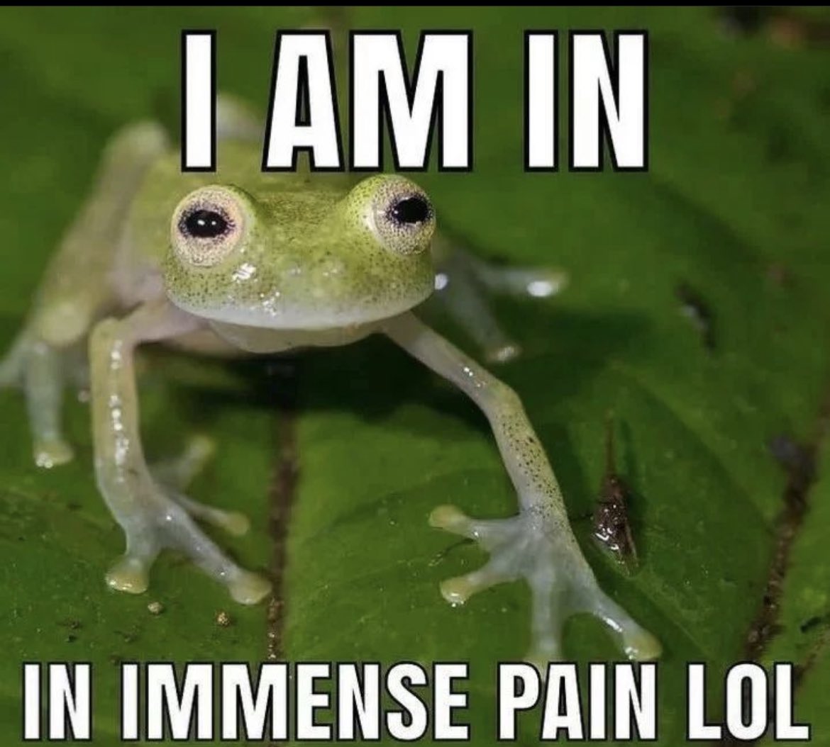 jennkindaexists on Twitter: "My legs after leg day https://t.co/78nKv8UGMK" / Twitter