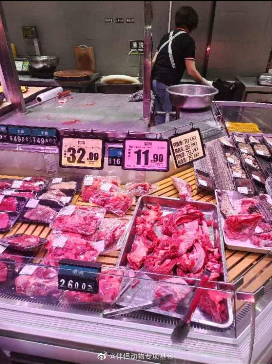 We Are Not Food on Twitter "Guangdong China Many branches of Good