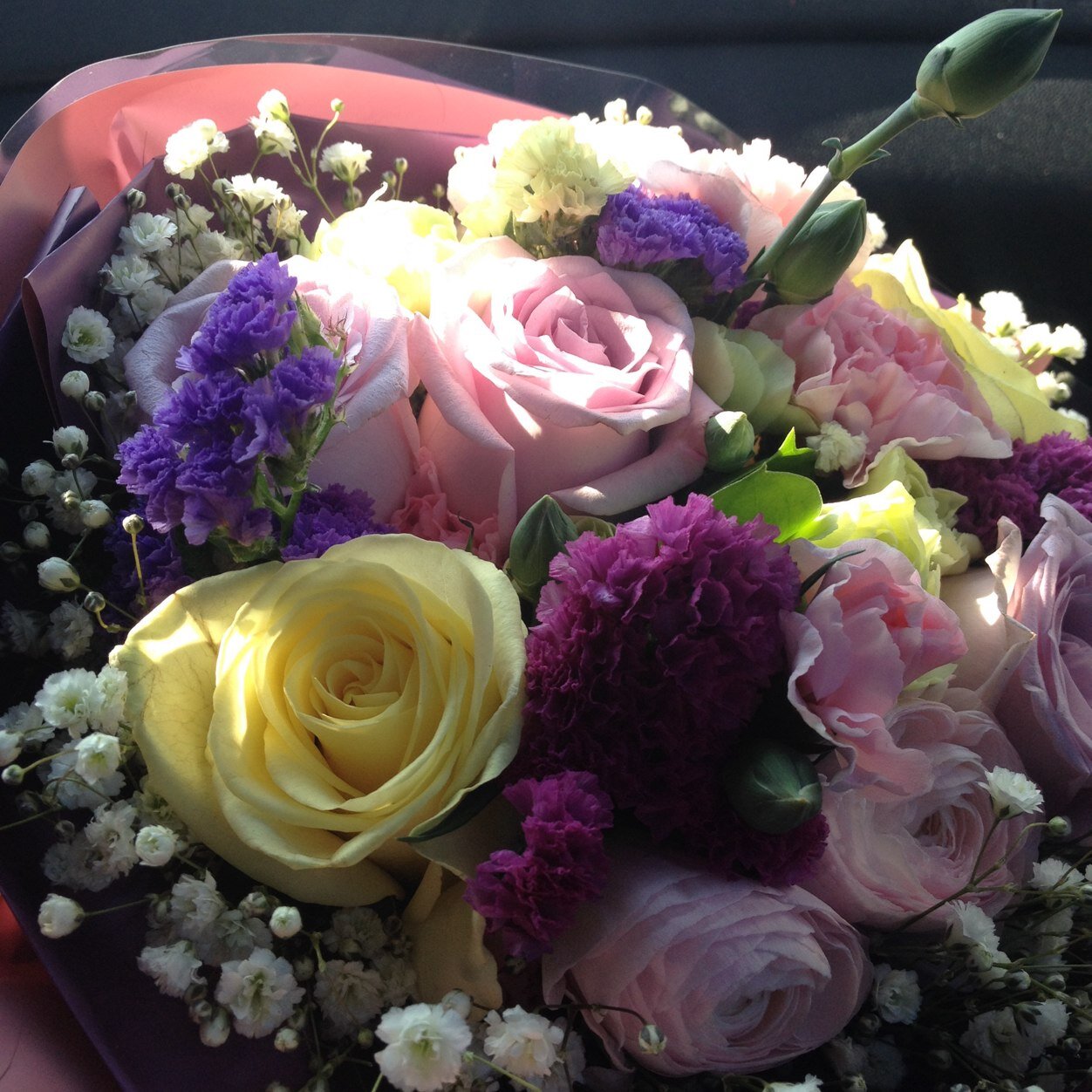 blue earth★ (miyuki__n) Twitter