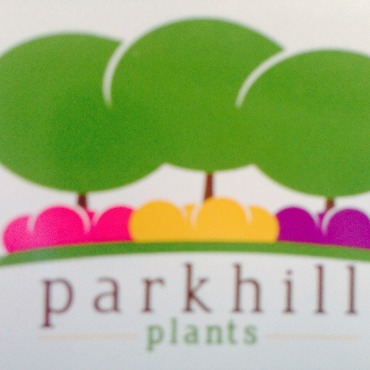 Parkhill plants (Parkhillplants) Twitter