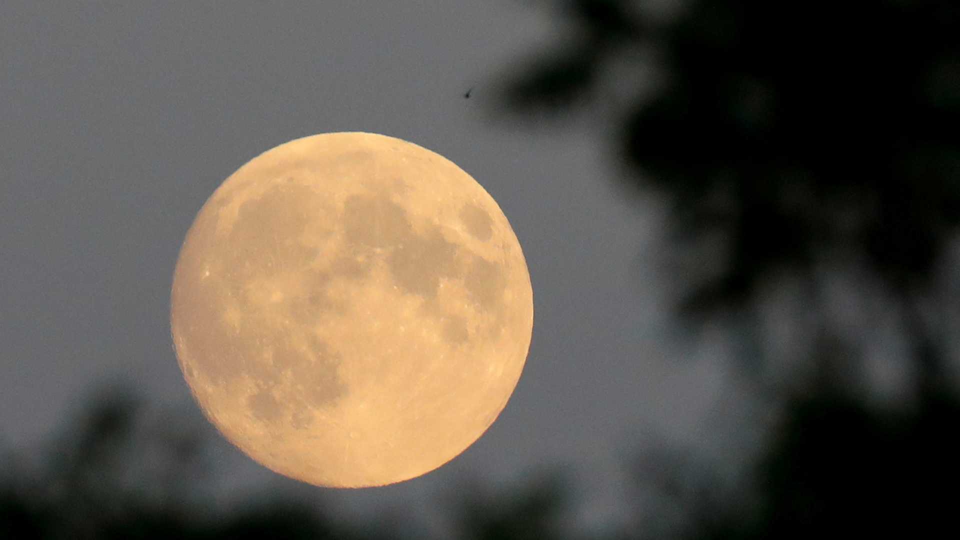 Eclipse lunar mais longo do século acontece hoje PB VALE