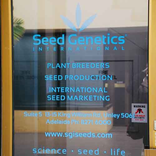 AdelaideRetailStoreWindowDecals PB Visual