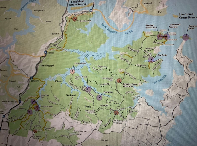 Newsletter October 2022 The Palm Beach & Whale Beach Association INC