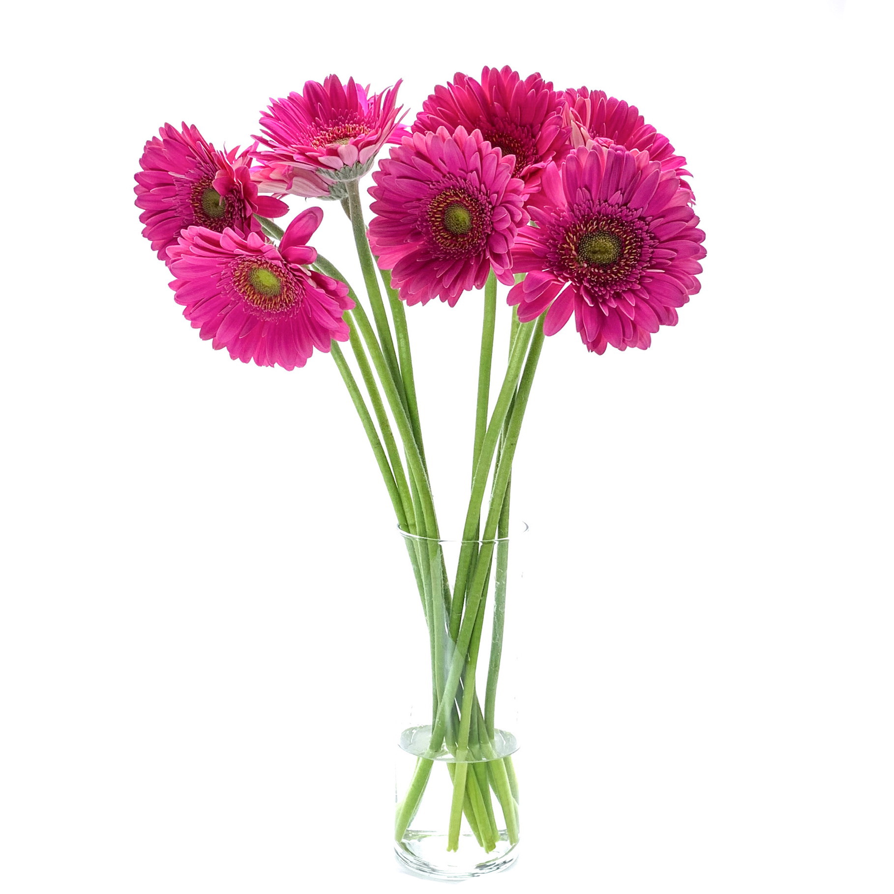 Palm Beach Wholesale Flowers