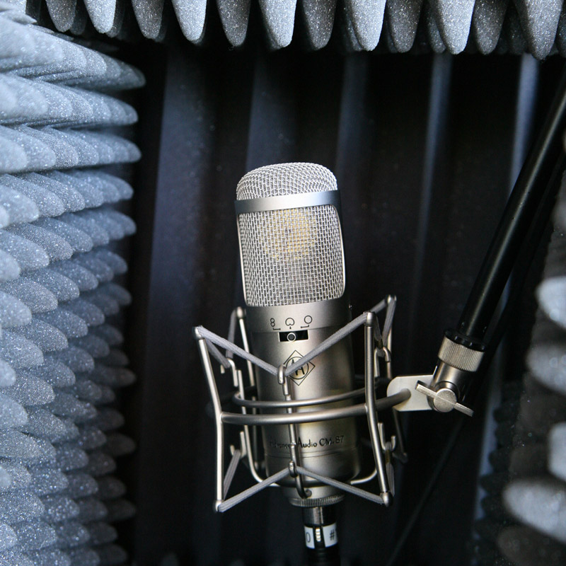 Choosing The Best Microphone for Voiceover [Buyers Guide] PCGiga