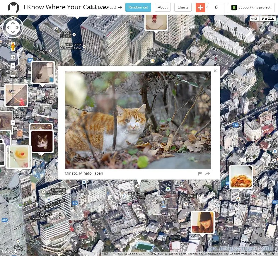 世界中から猫だけの画像が見れるWebサービス 『I Know Where Your Cat Lives』 PCあれこれ探索