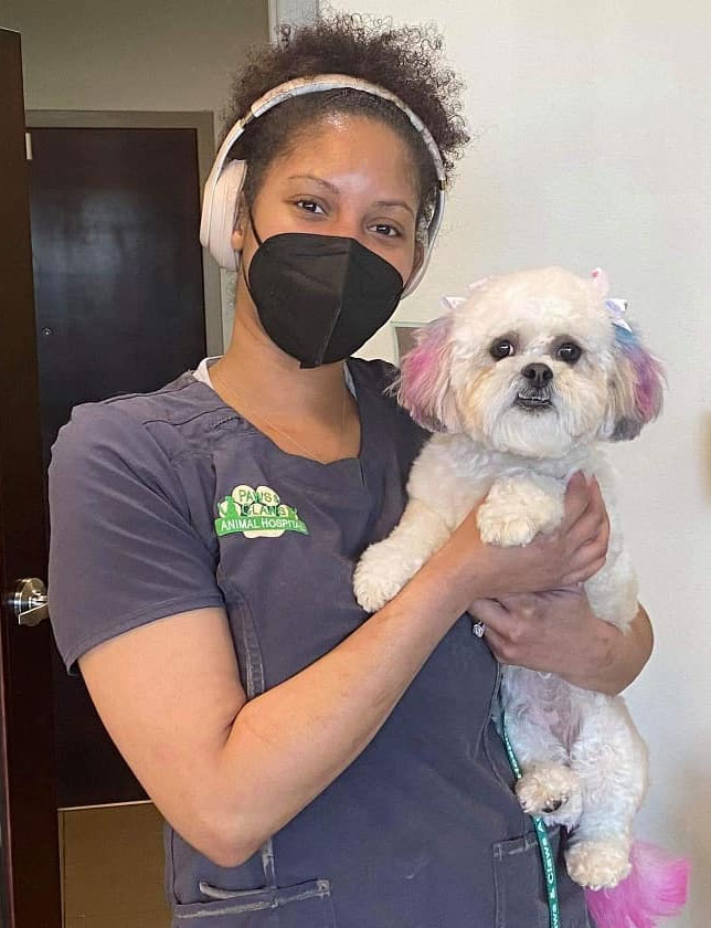 Details 143+ hair grooming meaning super hot camera.edu.vn