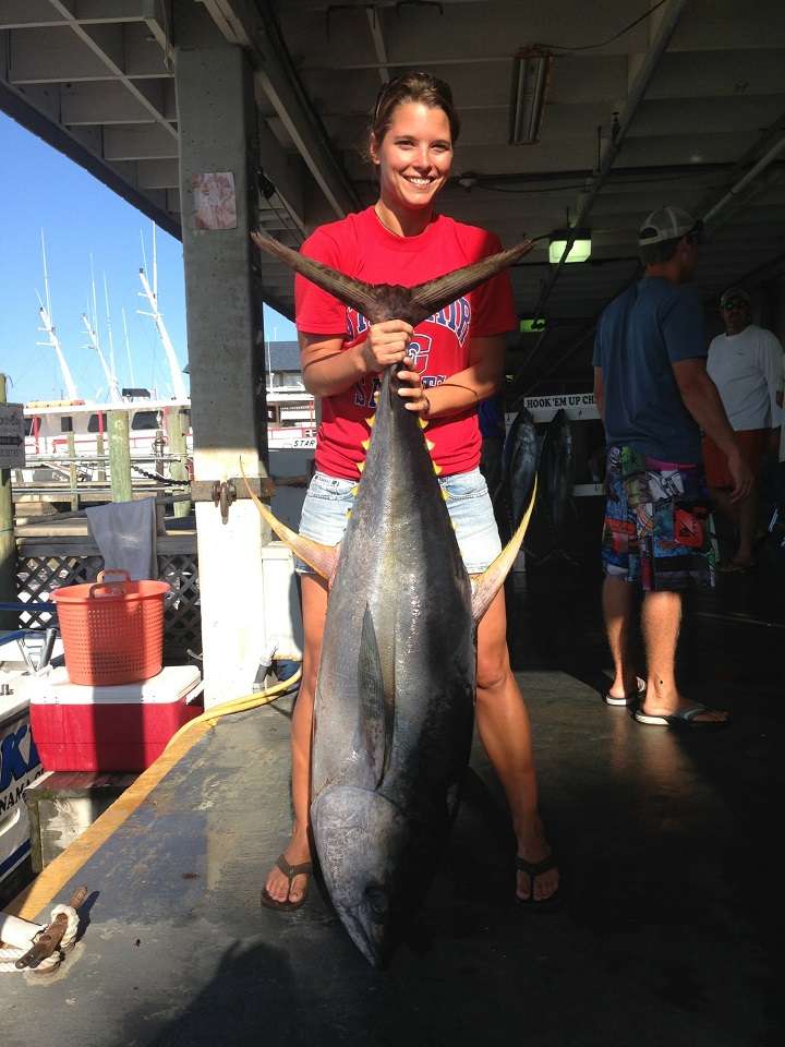 Florida Fish Species Gulf of Mexico Hook'em Up Charters