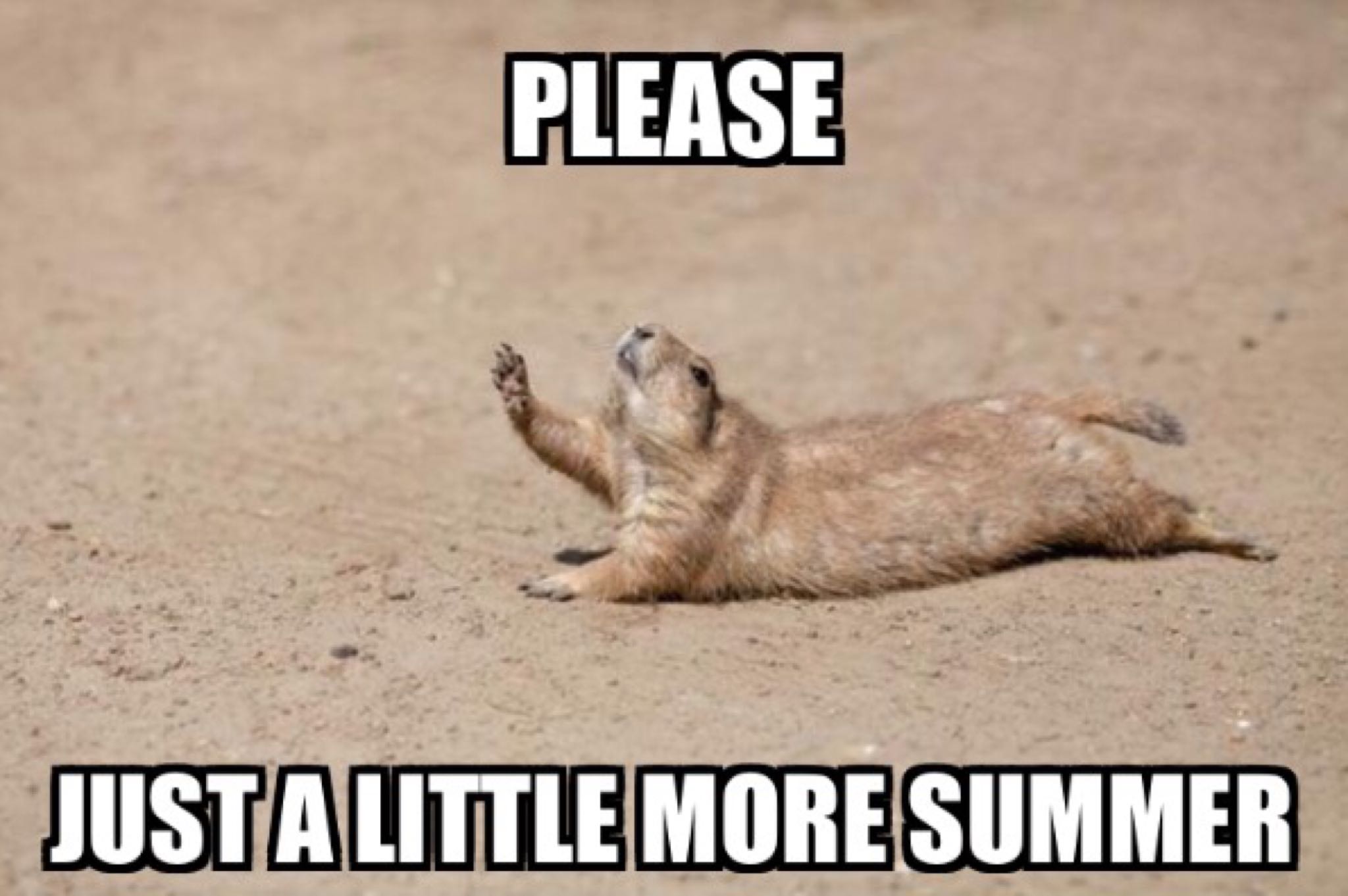 Enjoy a Relaxing End of Summer this Labor Day.