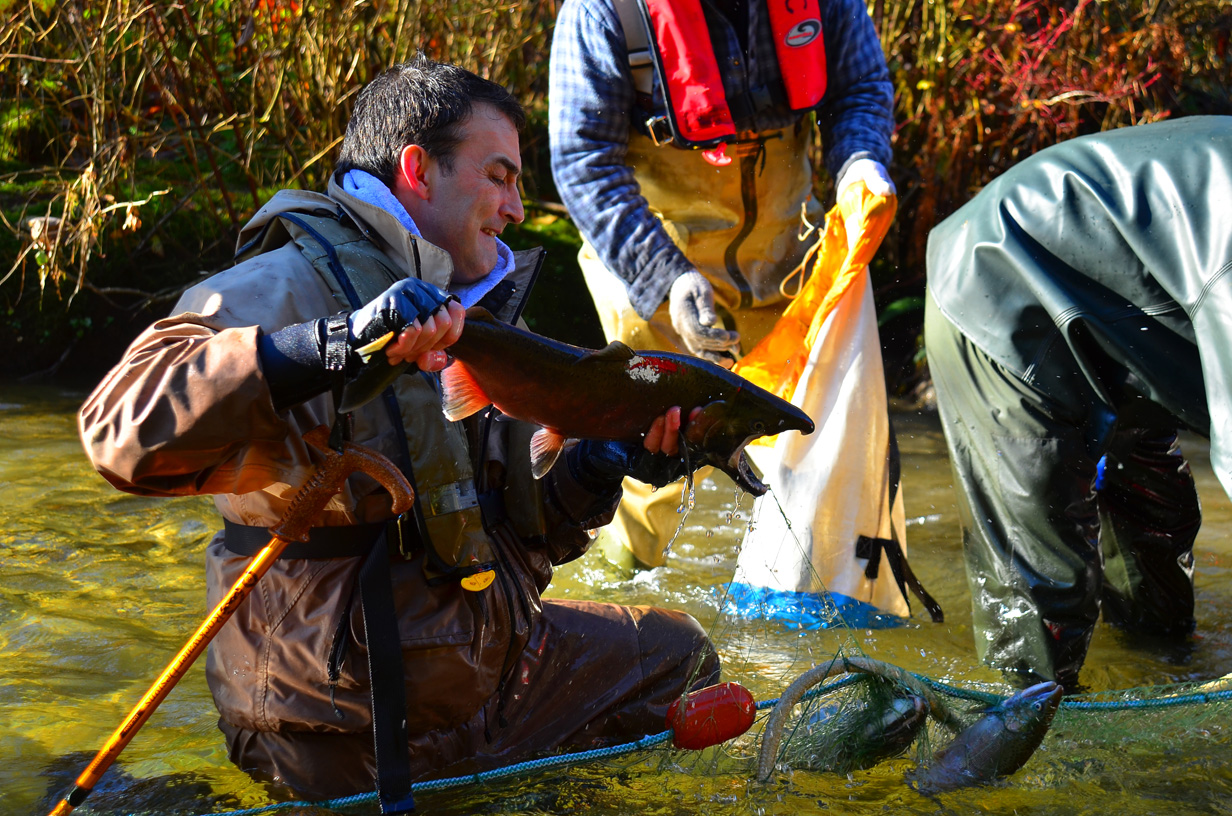 The Grist Goesen Memorial Hatchery Port Coquitlam & District Hunting