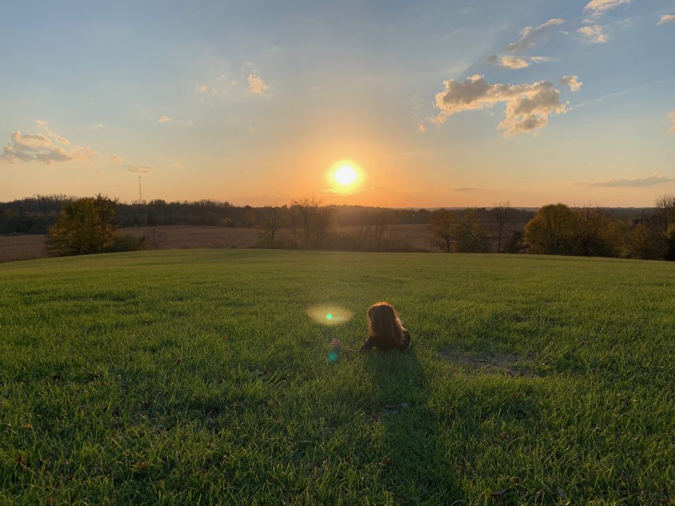 Field of dreams Photos from Chris Hardie
